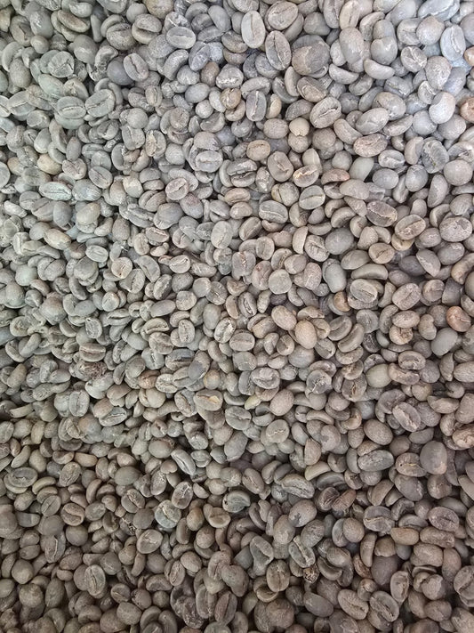 BOLIVIA  CASTILLO 84PTS FINCA YANALOMA OMNI ROAST