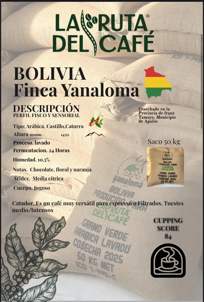 BOLIVIA  CASTILLO 84PTS FINCA YANALOMA OMNI ROAST