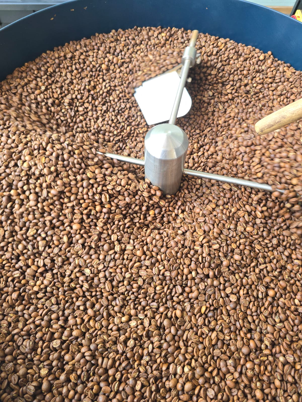 BOLIVIA  CASTILLO 84PTS FINCA YANALOMA OMNI ROAST