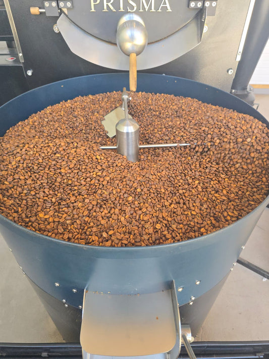 NICARAGUA CASTILLO 83PTS MATAGALPA OMNI ROAST