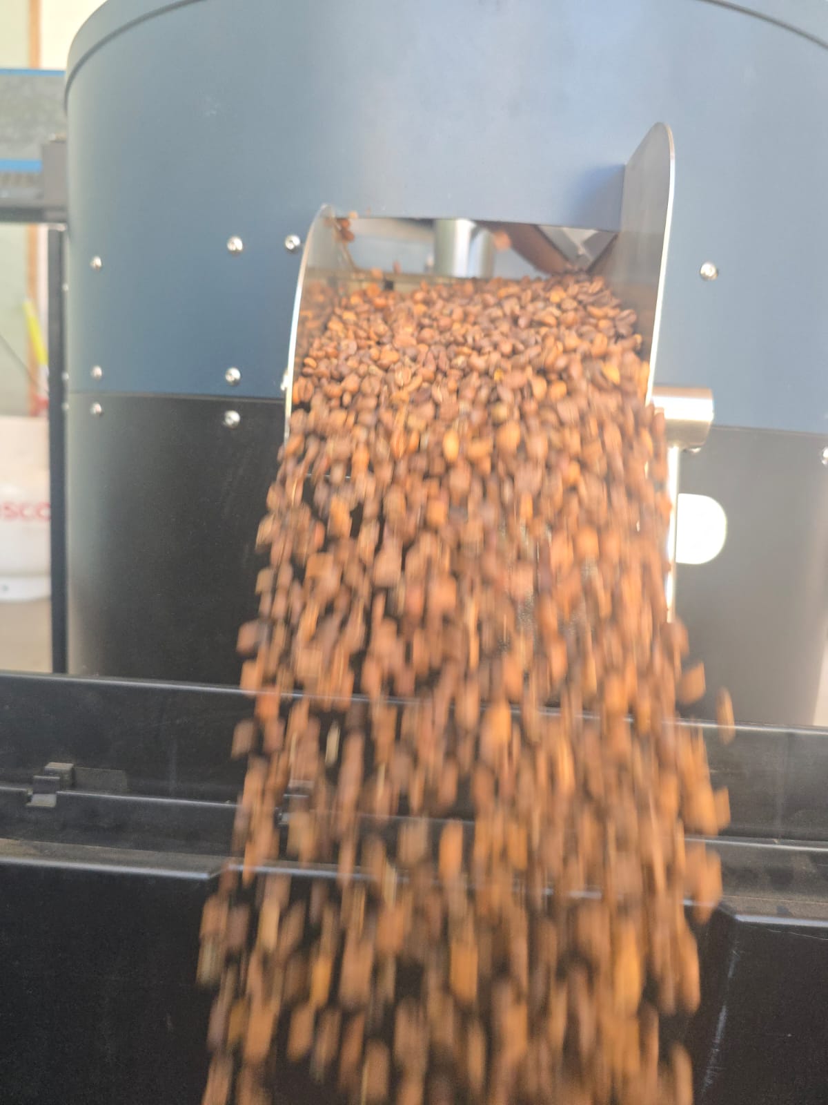 COLOMBIA CASTILLO 85PTS  NATURAL OMNI ROAST