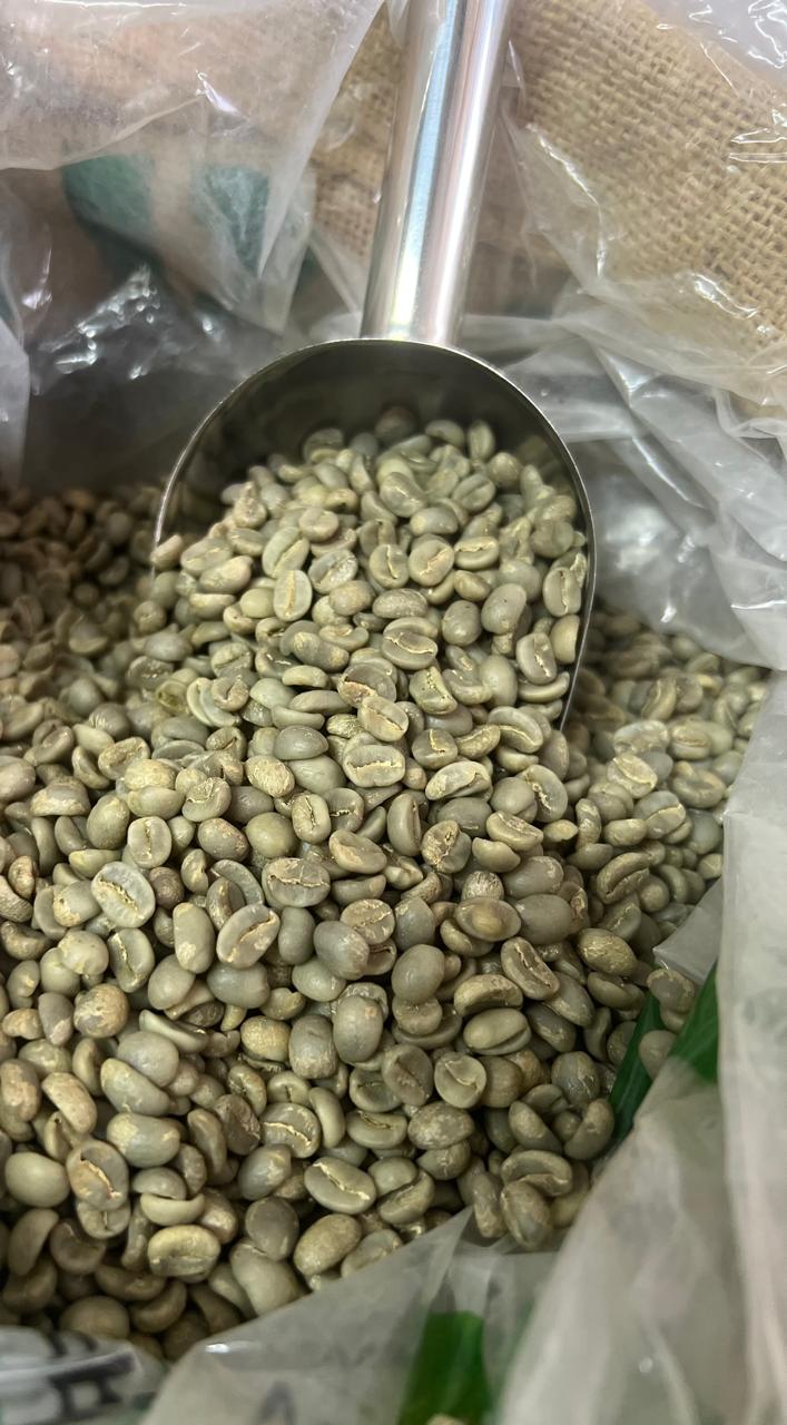 BOLIVIA BLEND CASTILLO CATURRA 250 GRS OMNI ROAST